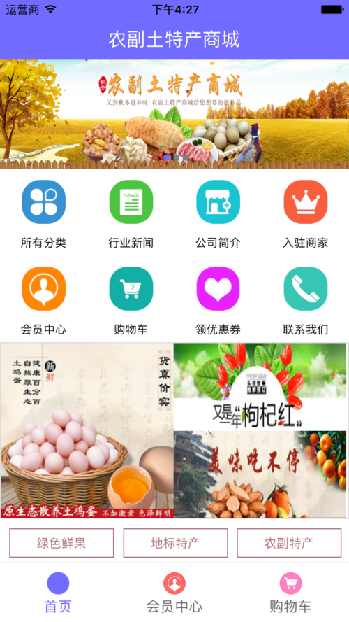 商城項目開發APP軟件+小程序+web網站