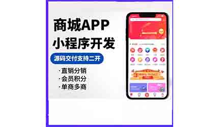 多用戶b2c商城店鋪系統軟件開發